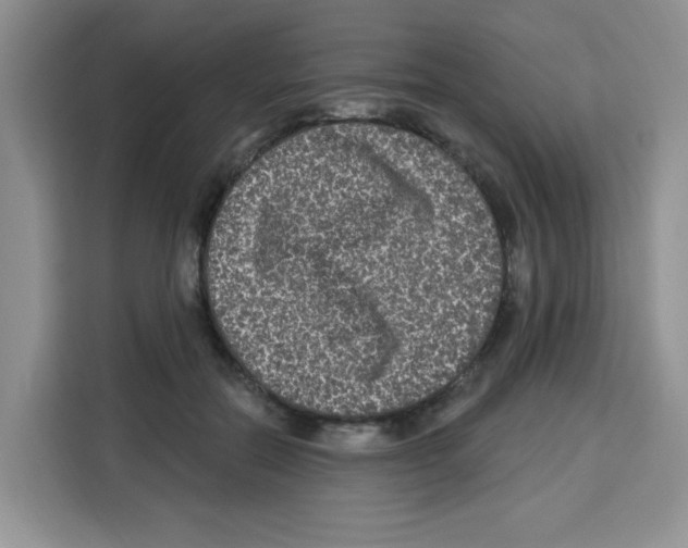 X0000113270554200910221101