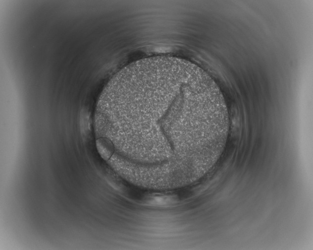 X0000113270555200910221101