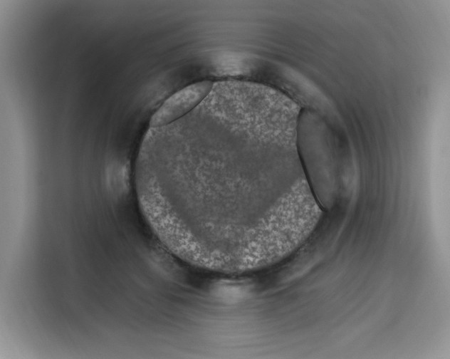 X0000113270556200910221101