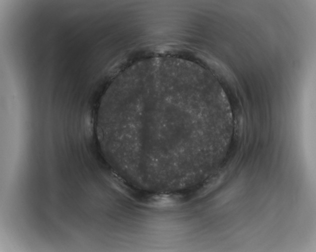 X0000113270558200910221101