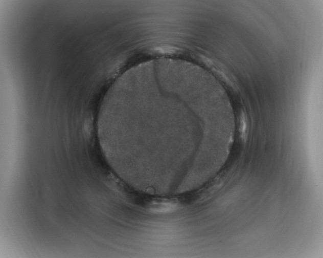 X0000113270559200910221101