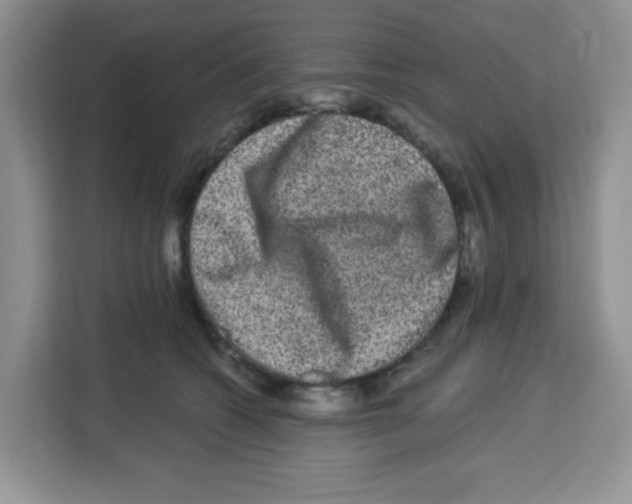 X0000113270562200910221101