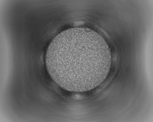 X0000113270565200910221101