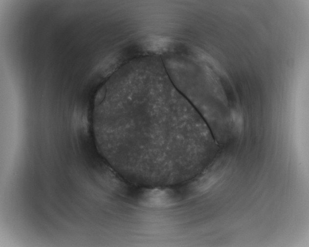 X0000113270566200910221101