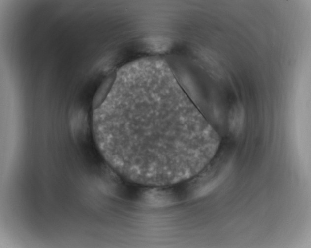 X0000113270568200910221101