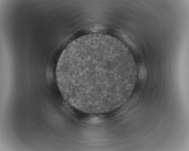 X0000113270569200910221101