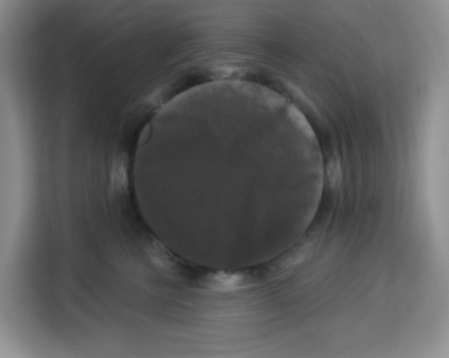 X0000113270570200910221101