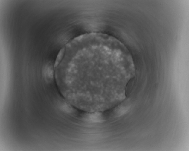 X0000113270576200910221101