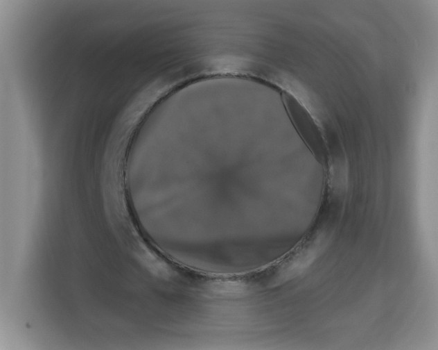 X0000113270577200910221101