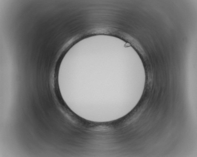 X0000113270578200910221101