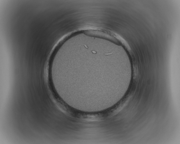 X0000113270580200910221101