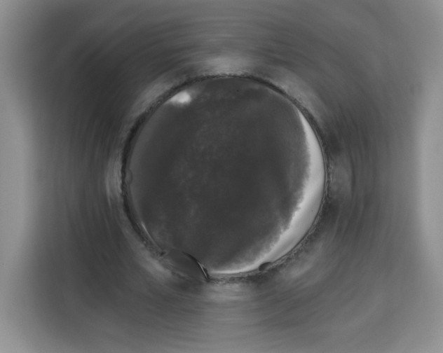 X0000113270581200910221101