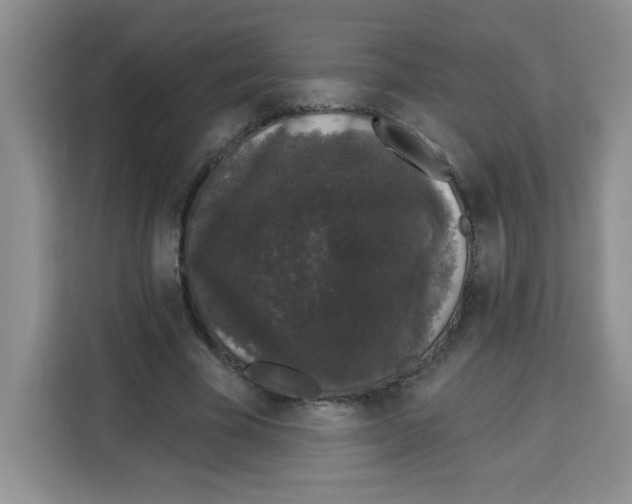 X0000113270585200910221101