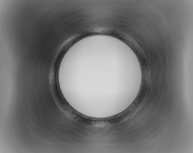 X0000113270587200910221101