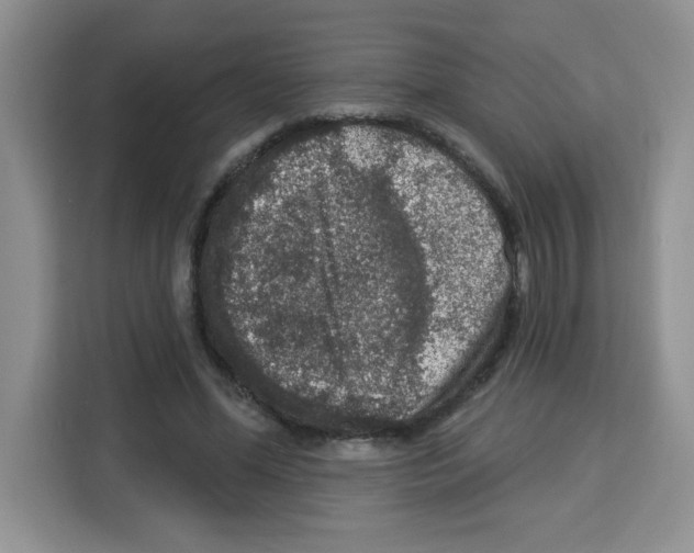 X0000113270588200910221101