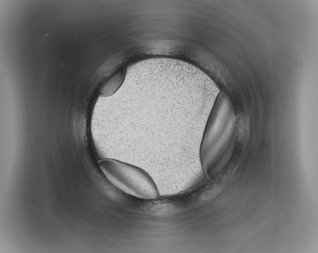 X0000113270589200910221101