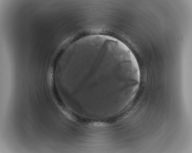 X0000113270590200910221101