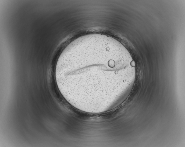 X0000113270591200910221101