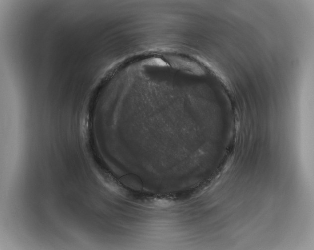 X0000113270592200910221101