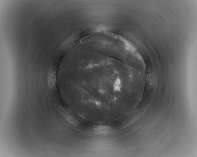 X0000113270593200910221101