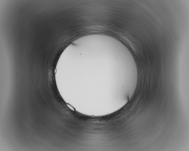 X0000113270597200910221101