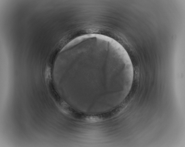 X0000113270598200910221101