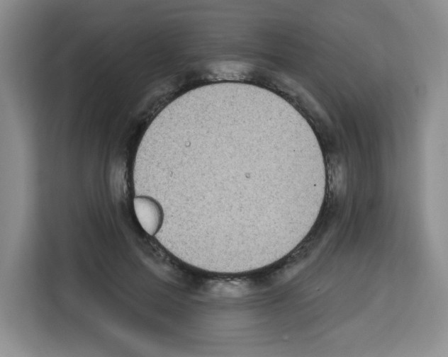 X0000113270599200910221100