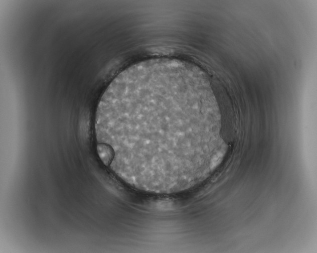 X0000113270600200910221100