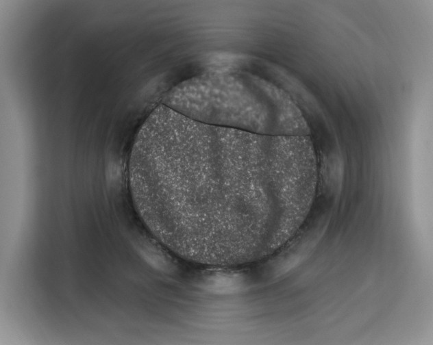 X0000113270601200910221100