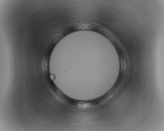 X0000113270602200910221100