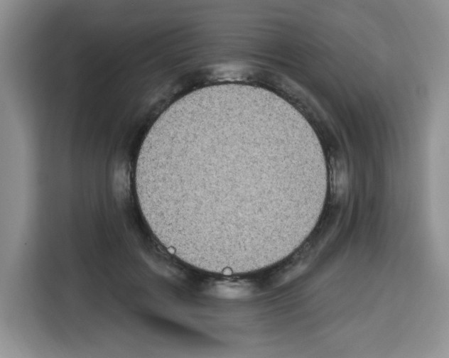 X0000113270603200910221100