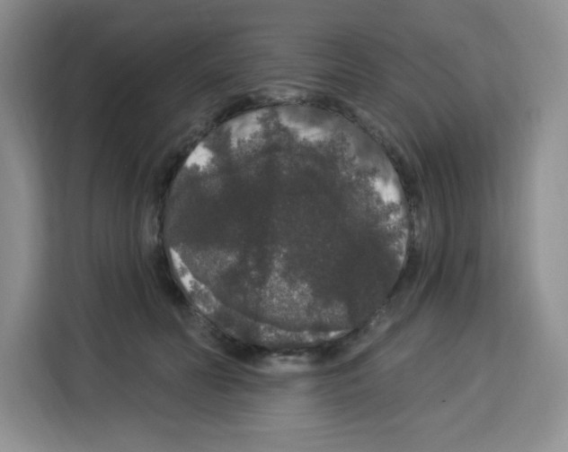 X0000113270606200910221100