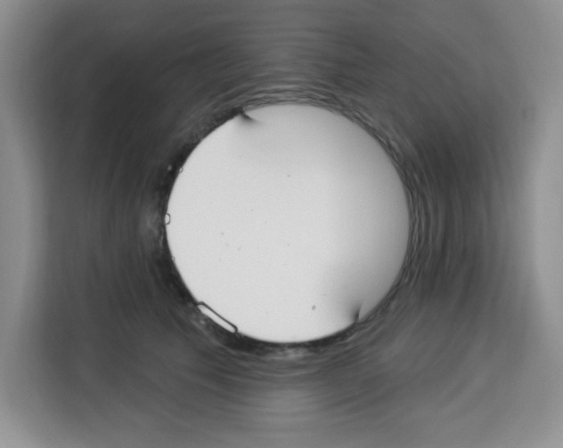 X0000113270609200910221100