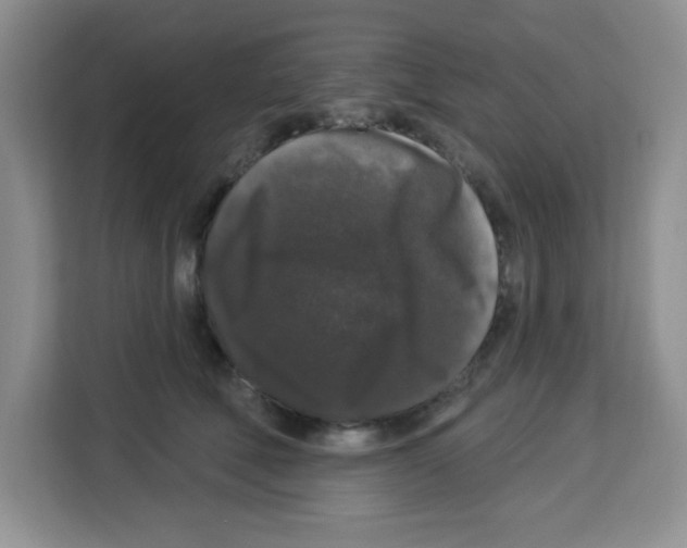 X0000113270610200910221100