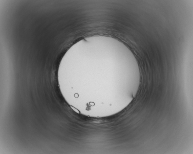 X0000113270611200910221100