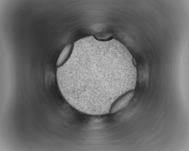 X0000113270613200910221100