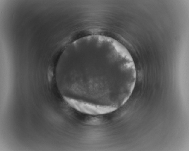 X0000113270618200910221100