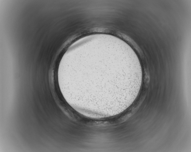 X0000113270626200910221100