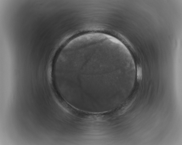 X0000113270627200910221100