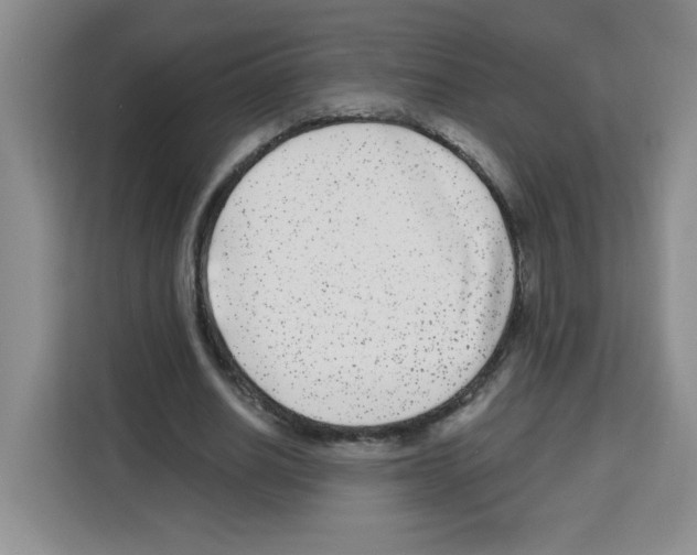 X0000113270630200910221100