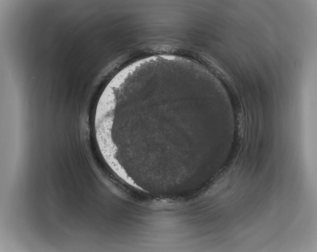 X0000113270634200910221100