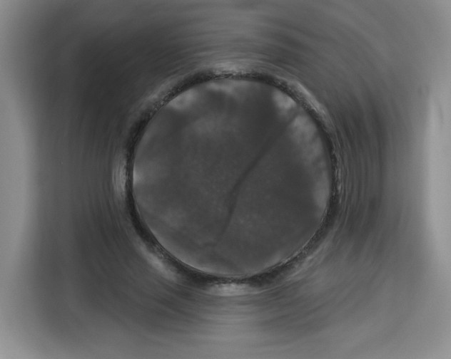 X0000113270637200910221100