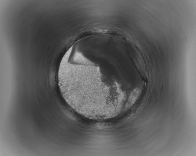 X0000113270641200910221100