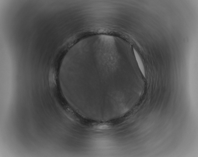 X0000113270643200910221100