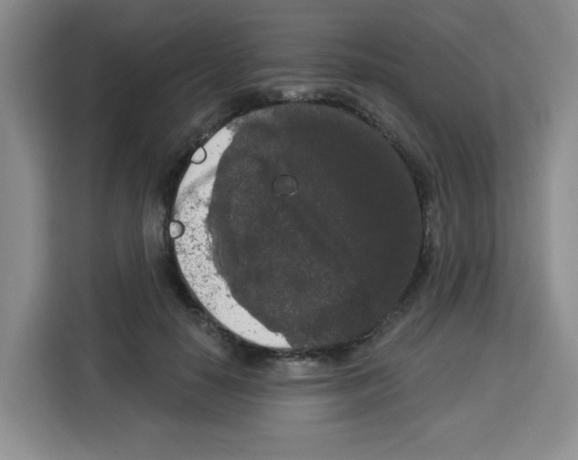 X0000113270650200910221100