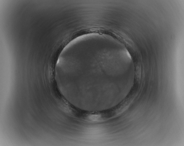 X0000113270653200910221100