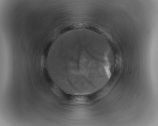 X0000113270659200910221100