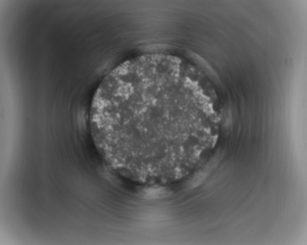 X0000113270669200910221100