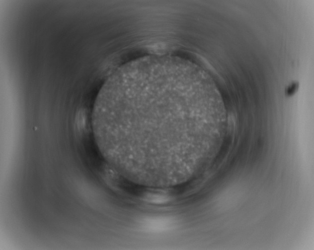 X0000113270671200910221100