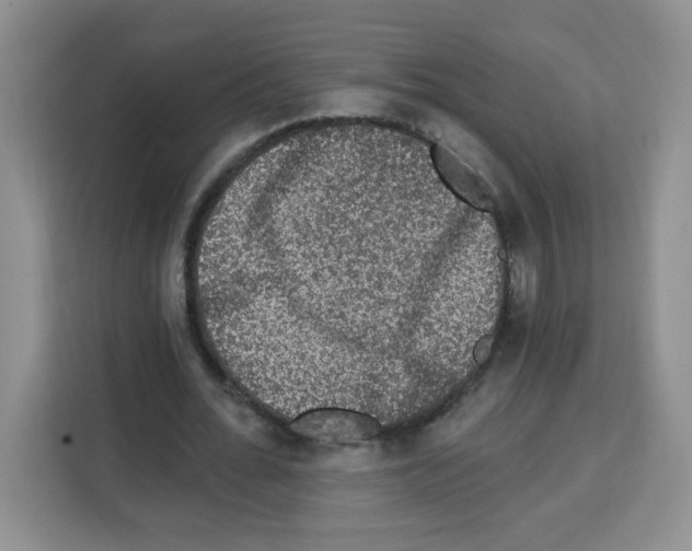 X0000113270676200910221059